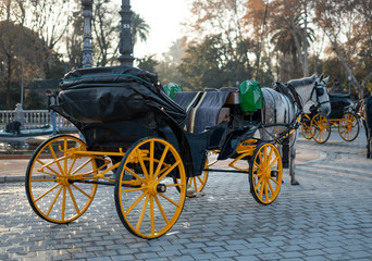 Fototapeta na wymiar Traditional and touristic horse carriage in Seville, Plaza España