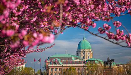 Amazing spring cityscape with Buda Castle Royal Palace in Buda Castle district