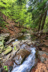Wanderung zu den Ri&szlig;loch Wasserf&auml;lle bei Bodenmais | Naturerlebnis Bayerischer Wald