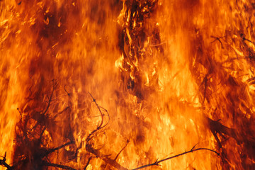 Brennende Christbäume von Weihnachten mit lodernden Flammen wie bei einem Waldbrand