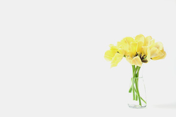 beautiful bouquet of spring flowers in a vase. yellow tulip, copy space