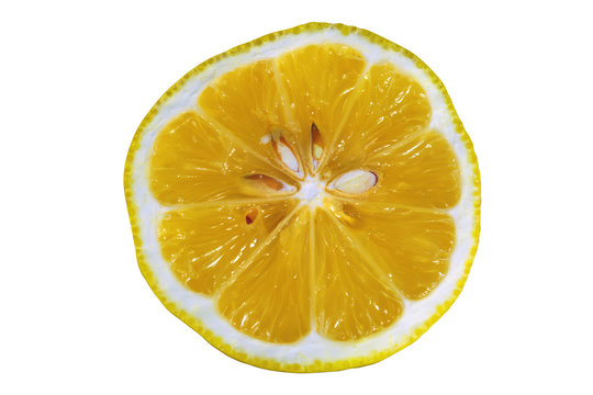 Sliced lemon isolate on a white background close-up.