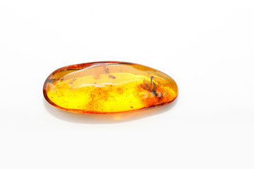 A transparent yellow piece of oval amber with insects inside on a white background. Sun stone made from fossilized hardened resin trees. Natural mineral for jewelry. Inclusions in pitch. Crystal