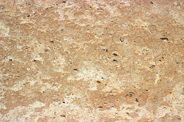 shell rock texture 