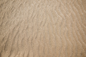 Sand with waves, texture or background