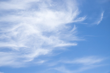 blue sky background with tiny clouds.Beautiful large clouds floating in the sky. funny shaped cloud. sunny day. Freedom and happiness cocncept.