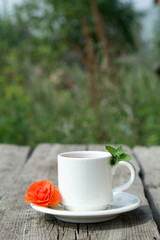 Coffee composition  with  white cup    of coffe and  orange  flower  and fresh leaf of mint on wooden rustic  table and green tree