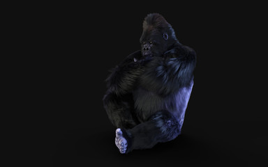 3d Illustration of a silverback gorilla on dark background with clipping path.