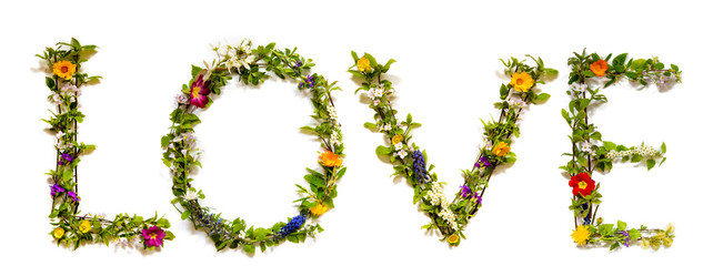 Flower, Branches And Blossom Letter Building English Word Love. White Isolated Background