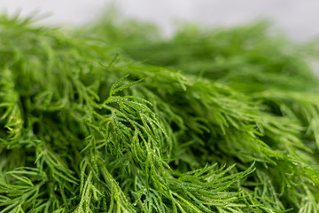 Fresh greens for salad. Parsley dill. Good for health, on a gray background. Warehouse of vitamins.