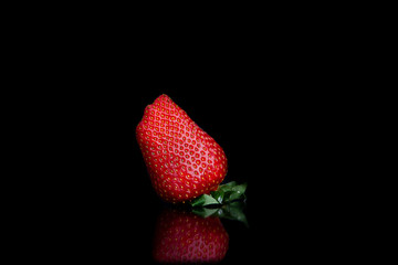 Giant fresh strawberries on a black background with copy space