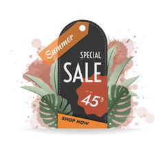 Template of Summer Special Sale Tag Banner with Color Splash Background