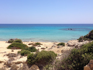 Fototapeta na wymiar Famous golden beach situated at the end of Karpaz peninsula on Cyprus , North side, blue clean crystal water