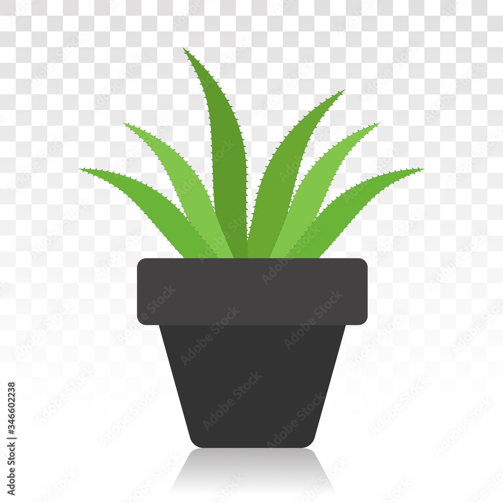 Wall mural green aloe vera with potted plant flat icon for apps and websites