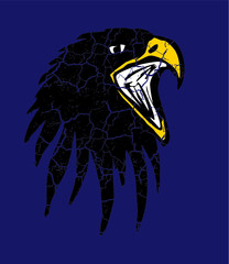 College eagle graphic design vector art