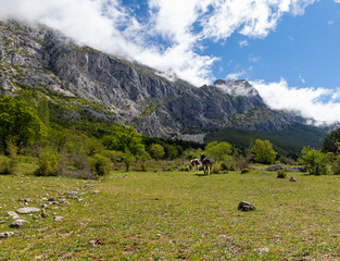 Beautiful landscape in the spring mountain, Dalmatia, Croatia