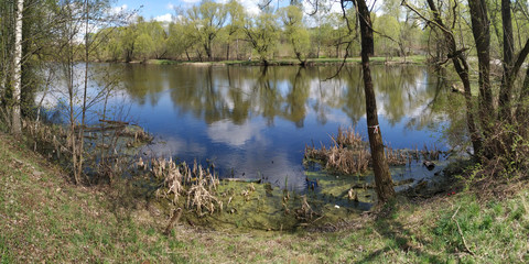 Spring carp fishing on the pond.