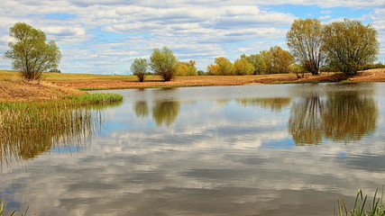 Staw w okolicy odry, błękitne zachmurzone niebo, drzewa na polanie © Piotr