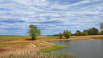 Staw w okolicy odry, błękitne zachmurzone niebo, drzewa na polanie © Piotr