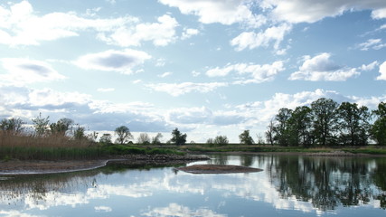 Rzeka odra, drzewa, brzeg rzeki, linia brzegowa, odbicie