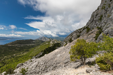 Beautiful landscape in the spring, Dalmatia, Croatia
