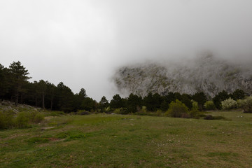 Beautiful landscape in the spring mountain, Dalmatia, Croatia