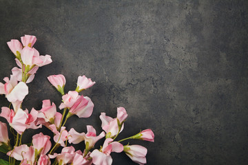 Fototapeta na wymiar Beautiful flowers on grunge abstract dark background