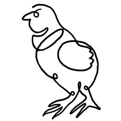 Chicken Continuous One Line Drawing