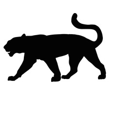 Black panther illustration