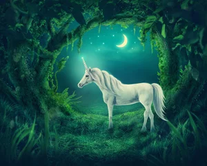 Rolgordijnen Unicorn in the magic forest © Elena Schweitzer