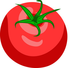 drawing of a red juicy tomato with a tail on a white background