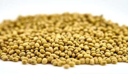 Soybeans on a light floor