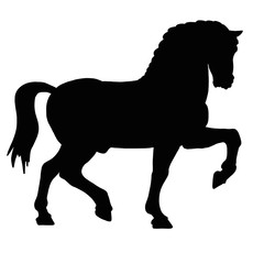 Black silhouette of horse. Animal illustration 
