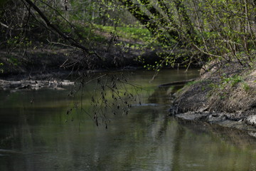 spring river in the forest park on a spring day