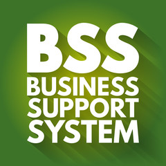 BSS - Business Support System acronym, business concept background
