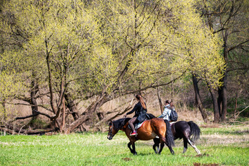 riders and horses on vacation in the forest by the river