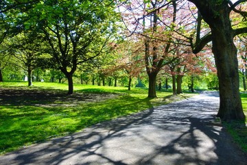 path in the park