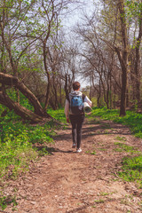 Naklejka na ściany i meble Solo traveller - woman hiker walking in spring forest