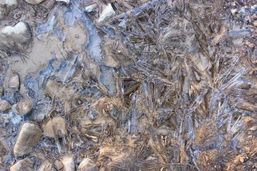 Frozen water on the ground