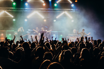 Plakat party crowd at a concert