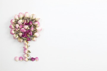 Decorative tree of small pink roses on a white background. There is space for text.
