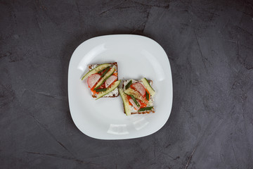 Two tasty sandwiches on the white plate. Grey textured background.