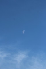 Lune