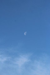 Lune