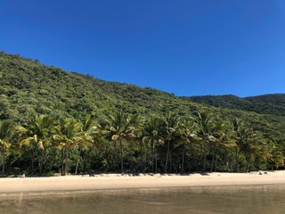 tropical beach with palm trees