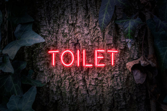 Toilet neon sign in red on a tree trunk with Ivy plant