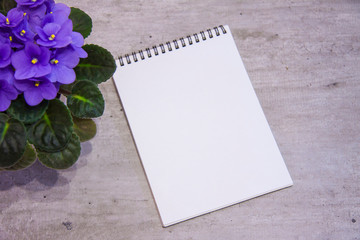 Romantic female flatlay still life. Beautiful violet flower and white blank notepad sheet on a wooden grunge table. Background for social network.