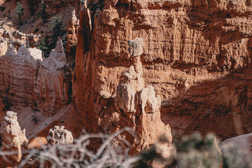 landscape in Bryce Canyon