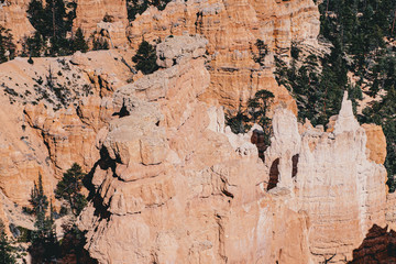 landscape in Bryce Canyon