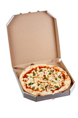 pizza on a white background